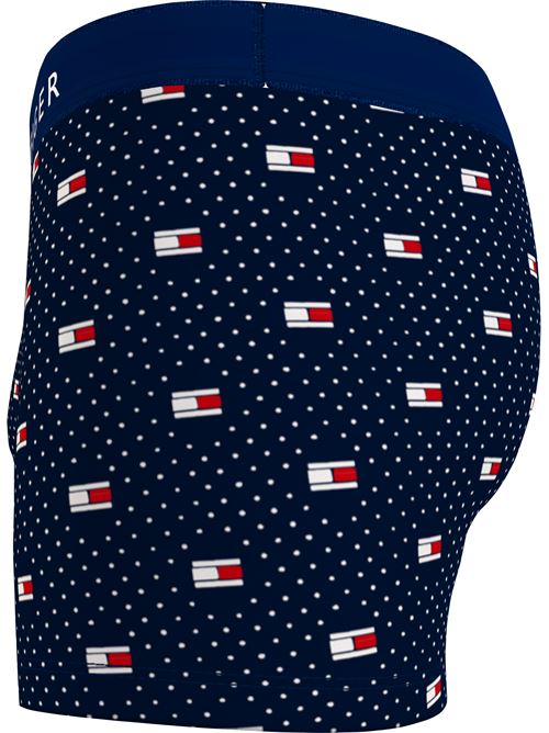 Boxer Tommy hilfiger | UM0UM0283502F FANTASIA